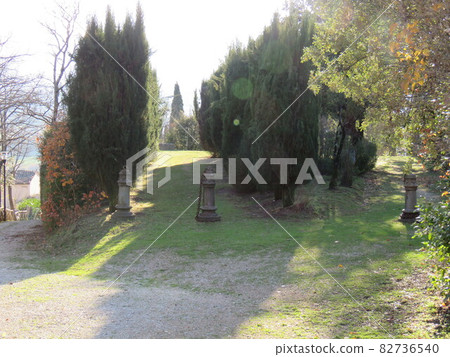 Natural landscape Natural landscape 82736540