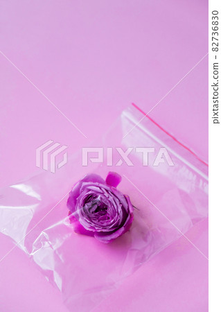 Environmental pollution concept. Flower in a plastic bag. Danger problem. Environmental conservation. Ecological lifestyle Environmental pollution concept. Flower in a plastic bag. Danger problem. Environmental conservation. Ecological lifestyle 82736830