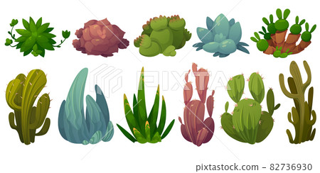 Set of cactus, desert flowers opuntia, monilaria, 82736930