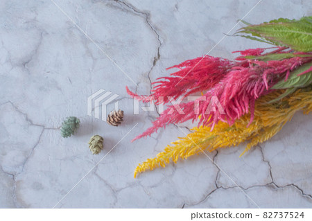 Keito and pine cones Keito and pine cones 82737524