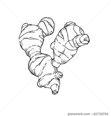 Ginger pen drawing cut illustration 82738784