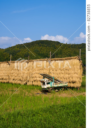 Rural scenery, dried rice rack 82738855