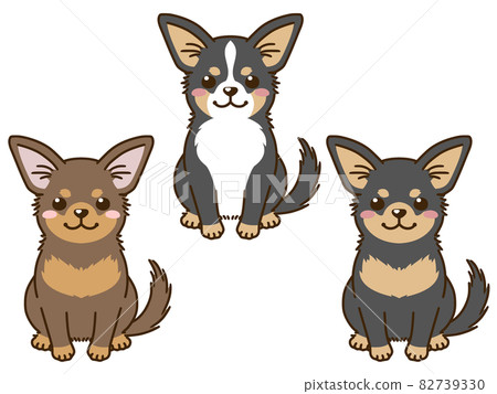 有各種毛色的奇瓦瓦 82739330