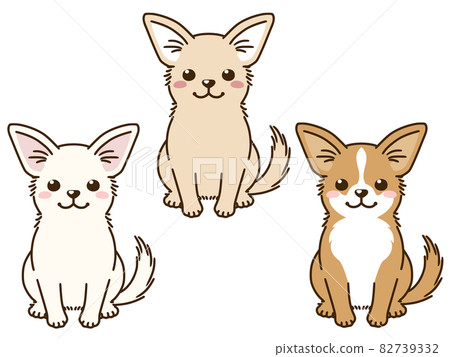 有各種毛色的奇瓦瓦 82739332