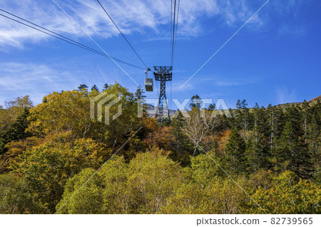 Tsugaike Plateau 82739565