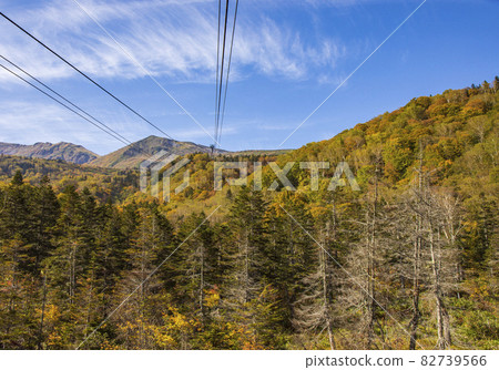 Tsugaike Plateau 82739566