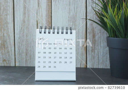White August 2022 calendar with potted plant. New Year Concept White August 2022 calendar with potted plant. New Year Concept 82739610