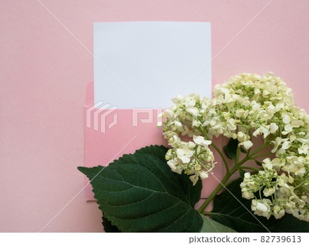 Pink envelope with a white mockup sheet and green flower hydrangea next to it on pink background. Pink envelope with a white mockup sheet and green flower hydrangea next to it on pink background. 82739613