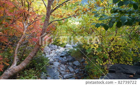 烏澤馬戲團的風景 烏澤馬戲團的風景 82739722
