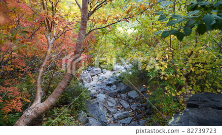 烏澤馬戲團的風景 82739723