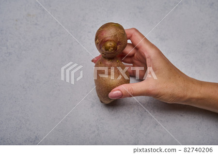 Woman's hand holds ugly potato in the person or animal shape on gray background Woman's hand holds ugly potato in the person or animal shape on gray background 82740206