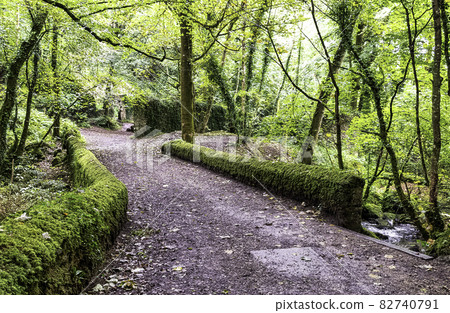 Bridge over Kennall river in Kennall Vale Nature Reserve, Ponsanooth, Cornwall, United Kingdom 82740791