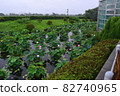 Lotus flower 82740965