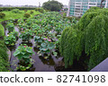 Lotus flower 82741098