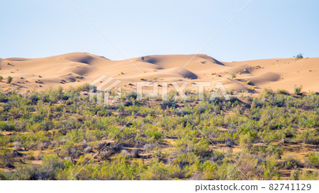 Panoramic view of the sand dunes 82741129