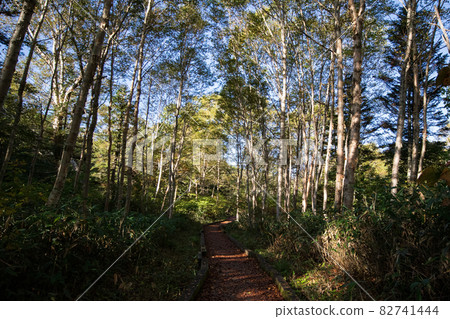 Mountain trail to Hiuchigatake Mountain trail to Hiuchigatake 82741444