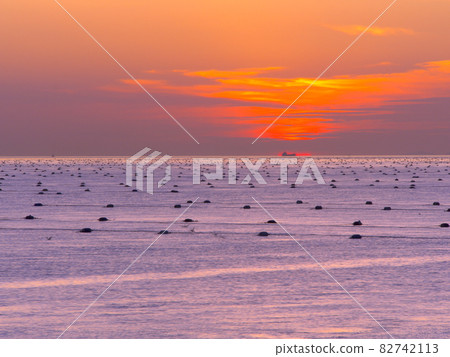Hayashisaki Matsue Kaigan sunset and seaweed farm where many buoys float far away / Akashi City, Hyogo Prefecture 82742113