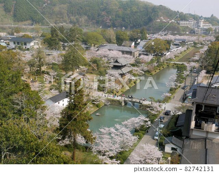 Townscape seen from Iwakuni Ropeway in Spring (Yamaguchi Prefecture) 82742131