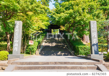 Kamakura Encyclopedia 82742303