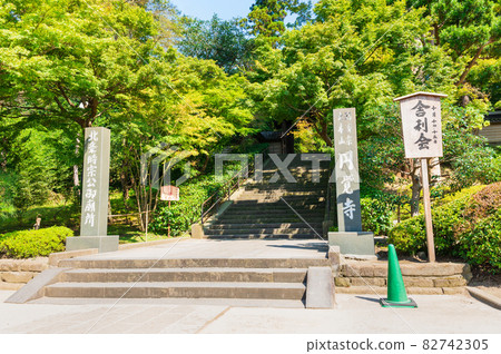 Kamakura Encyclopedia 82742305