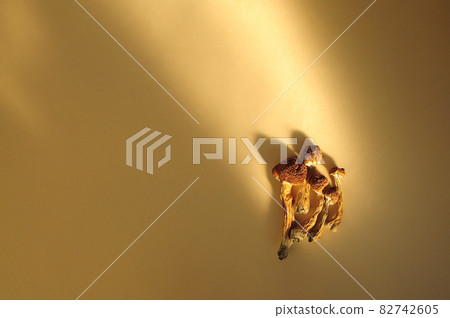 Dried psilocybe cubensis on golden backfround, flat lay. Psilocybin mushrooms close-up. Magic shrooms Golden Teacher Dried psilocybe cubensis on golden backfround, flat lay. Psilocybin mushrooms close-up. Magic shrooms Golden Teacher 82742605