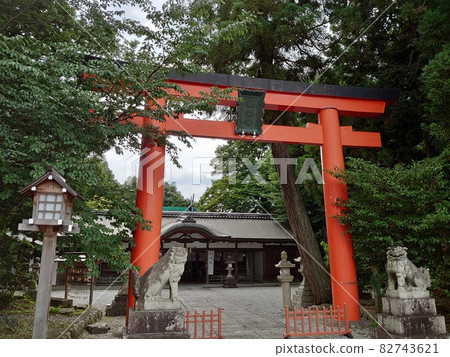 Shinto shrine and guardian dog Shinto shrine and guardian dog 82743621