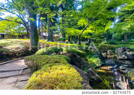 Tokyo Summer Wadabori Park Pond Tokyo Summer Wadabori Park Pond 82743875