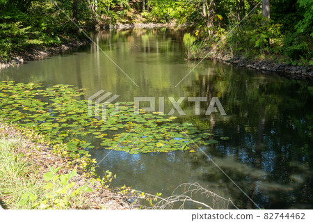 Onuma Quasi-National Park_Ramsar Convention Wetlands_Wildlife Sanctuary Onuma Quasi-National Park_Ramsar Convention Wetlands_Wildlife Sanctuary 82744462