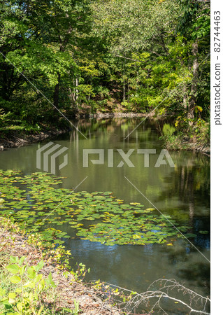 Onuma Quasi-National Park_Ramsar Convention Wetlands_Wildlife Sanctuary 82744463