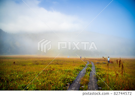 Gunma Prefecture Autumn Ozegahara Gunma Prefecture Autumn Ozegahara 82744572