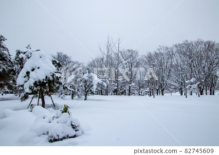 Midwinter snow scene Midwinter snow scene 82745609