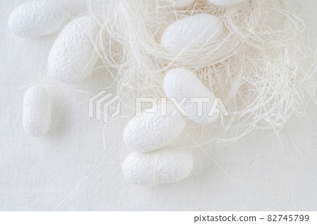 silk cocoons the commercially bred caterpillar of silkworm moth 82745799