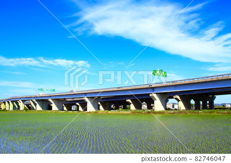 Scenery of Toyota City, paddy fields and Toyota Junction Scenery of Toyota City, paddy fields and Toyota Junction 82746047
