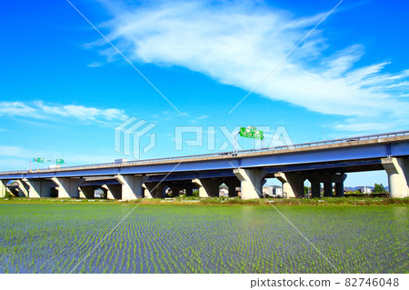 Scenery of Toyota City, paddy fields and Toyota Junction Scenery of Toyota City, paddy fields and Toyota Junction 82746048