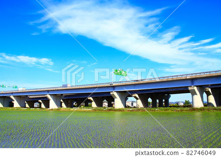 Scenery of Toyota City, paddy fields and Toyota Junction Scenery of Toyota City, paddy fields and Toyota Junction 82746049