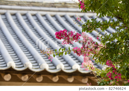 Hanok and Pear Tree Flowers 82746624