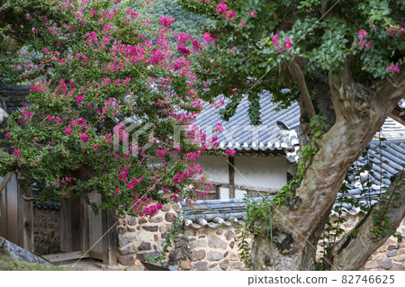Hanok and Pear Tree Flowers 82746625