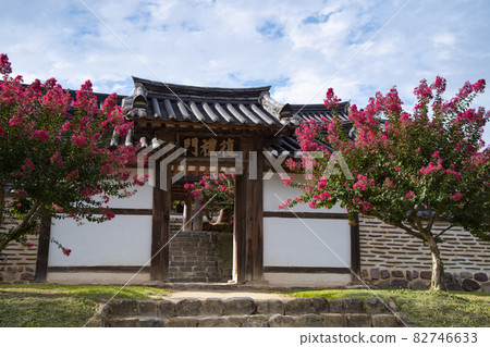 Hanok with red crape myrtle flowers in full bloom Hanok with red crape myrtle flowers in full bloom 82746633