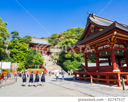 Autumn Kamakura Tsurugaoka Hachimangu Main Shrine and Maiden Autumn Kamakura Tsurugaoka Hachimangu Main Shrine and Maiden 82747537