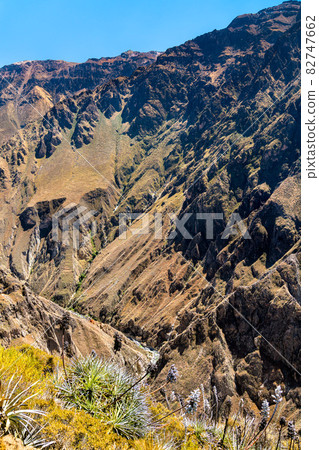 Scenery of the Colca Canyon in Peru 82747662