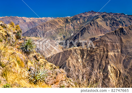 Scenery of the Colca Canyon in Peru Scenery of the Colca Canyon in Peru 82747665