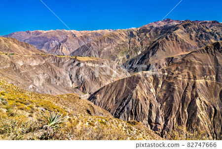 Scenery of the Colca Canyon in Peru 82747666