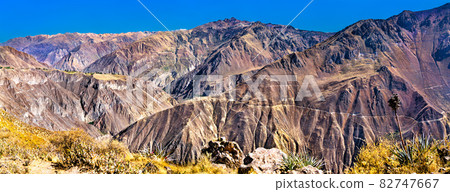 Scenery of the Colca Canyon in Peru Scenery of the Colca Canyon in Peru 82747667