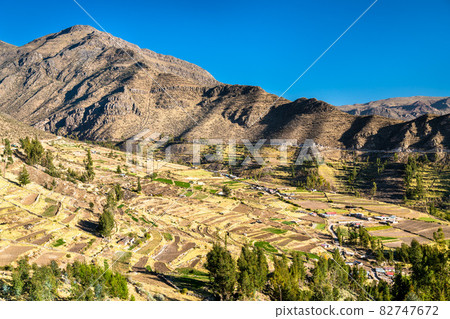 Terraced fields at Huambo near the Colca Canyon in Peru Terraced fields at Huambo near the Colca Canyon in Peru 82747672