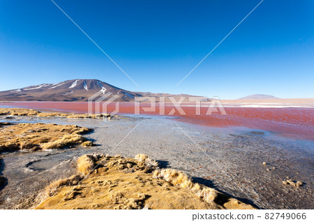 Laguna Colorada view, Bolivia 82749066