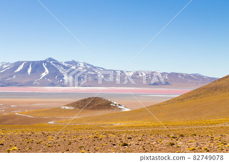 Laguna Colorada view, Bolivia 82749078