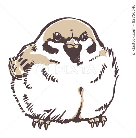 One calf sparrow, brush drawing, two-color painting One calf sparrow, brush drawing, two-color painting 82750546