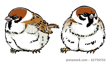 Two calf sparrows, brush drawing and matte painting 82750550