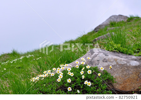 Tsukiyama Hana Chinguruma, Yamagata Prefecture Tsukiyama Hana Chinguruma, Yamagata Prefecture 82750921
