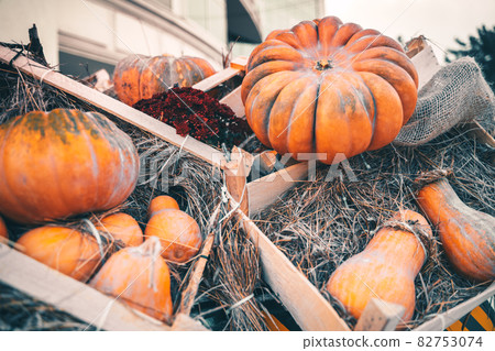 Bright orange Halloween pumpkins in a wooden crate Bright orange Halloween pumpkins in a wooden crate 82753074